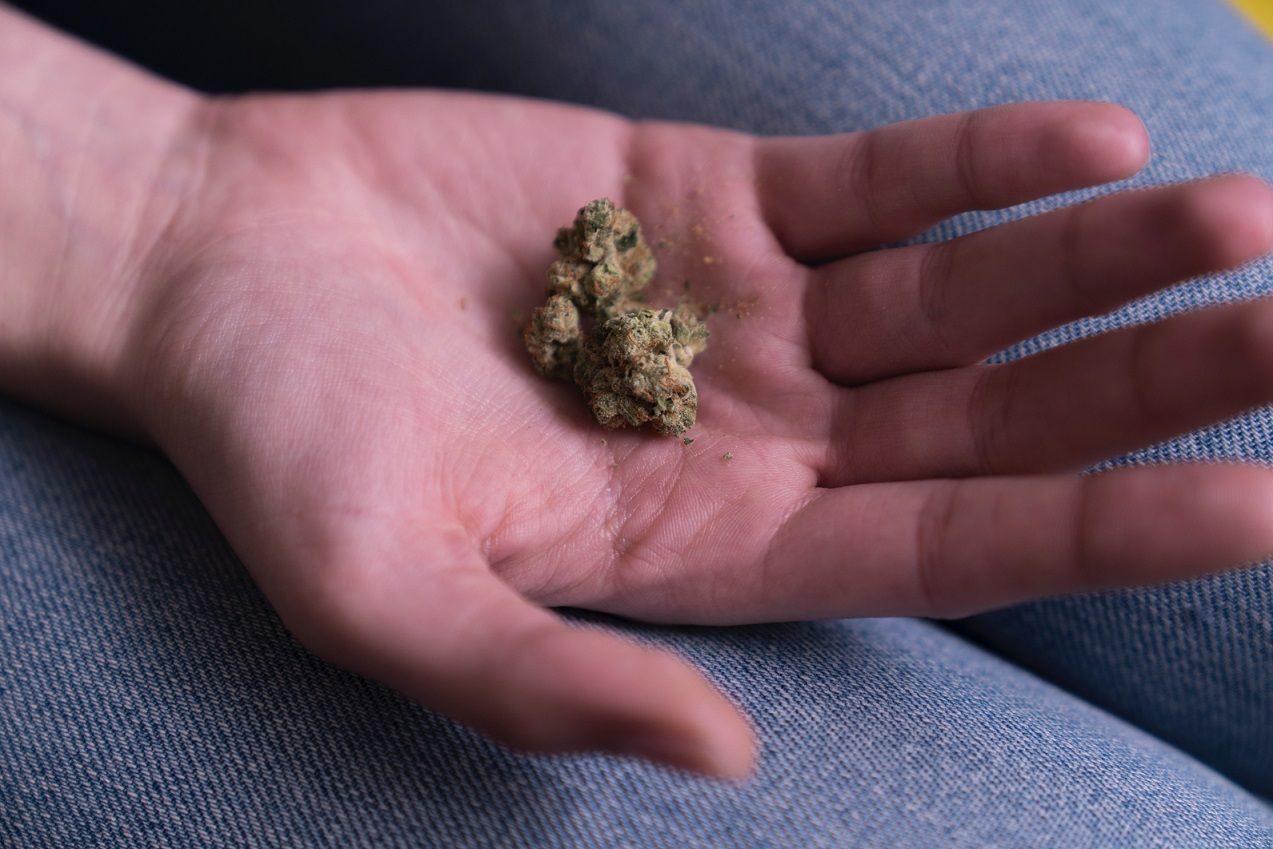 Can you smoke old weed? | Cannabis wiki