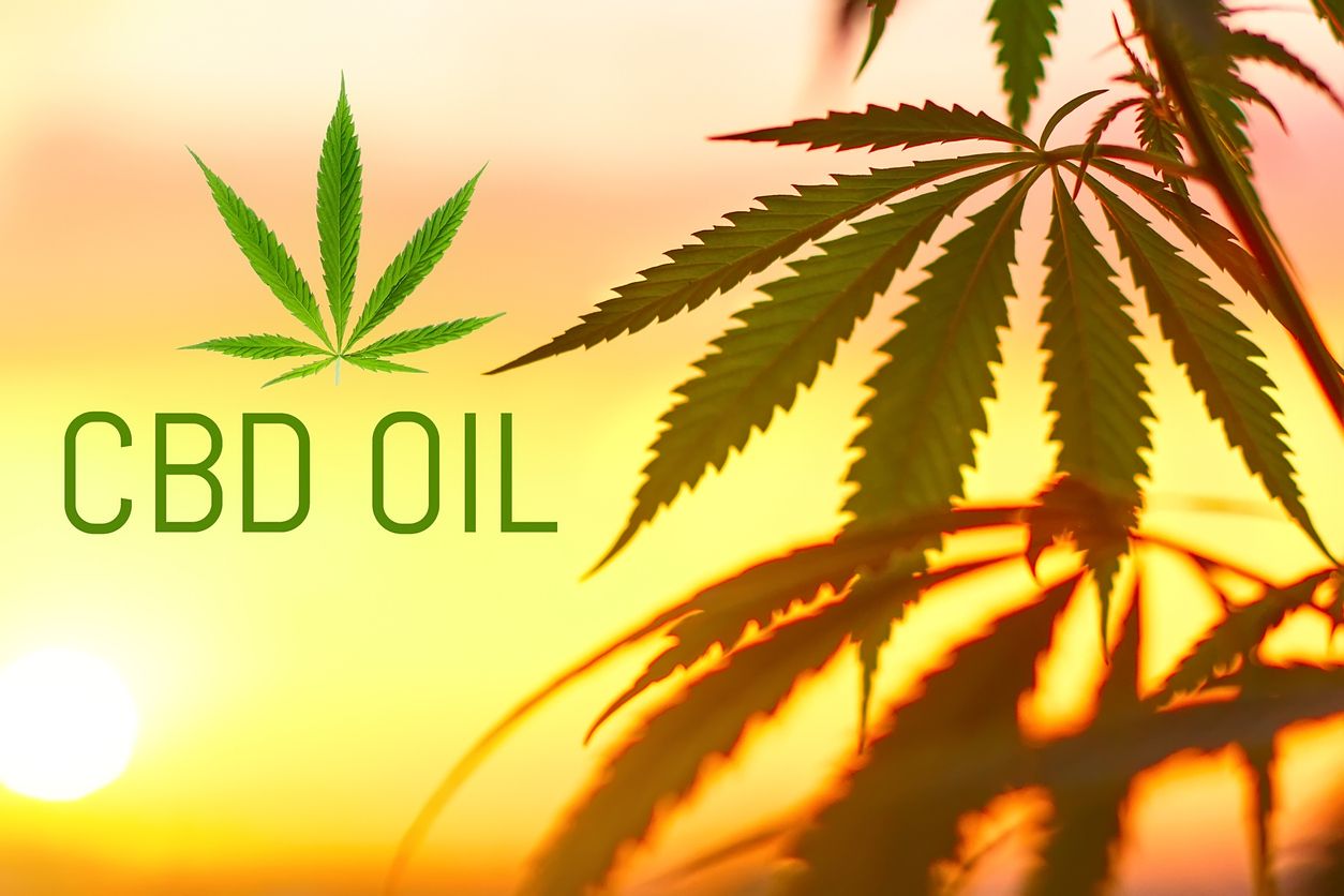 How to make CBD oil at home 