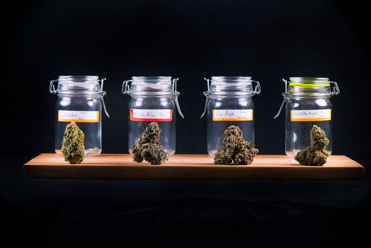 Some of the most potent smelling weed strains in the world
