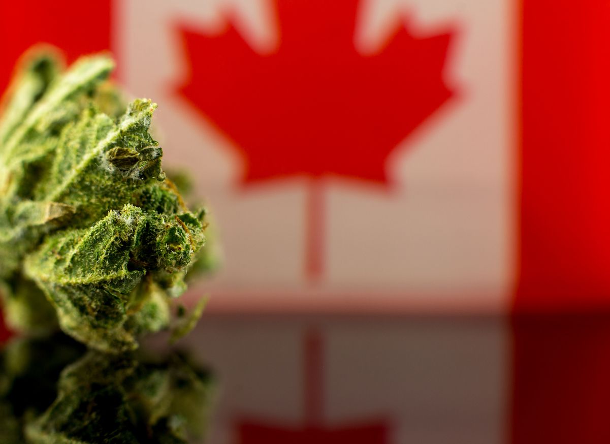 How is the black market for cannabis in Canada after nearly eight months