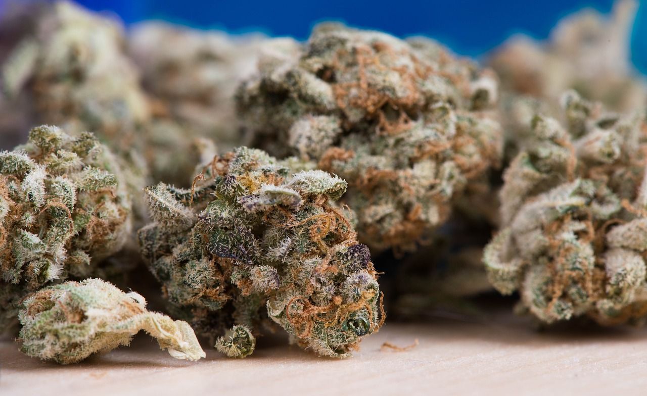 All about indica strains of cannabis