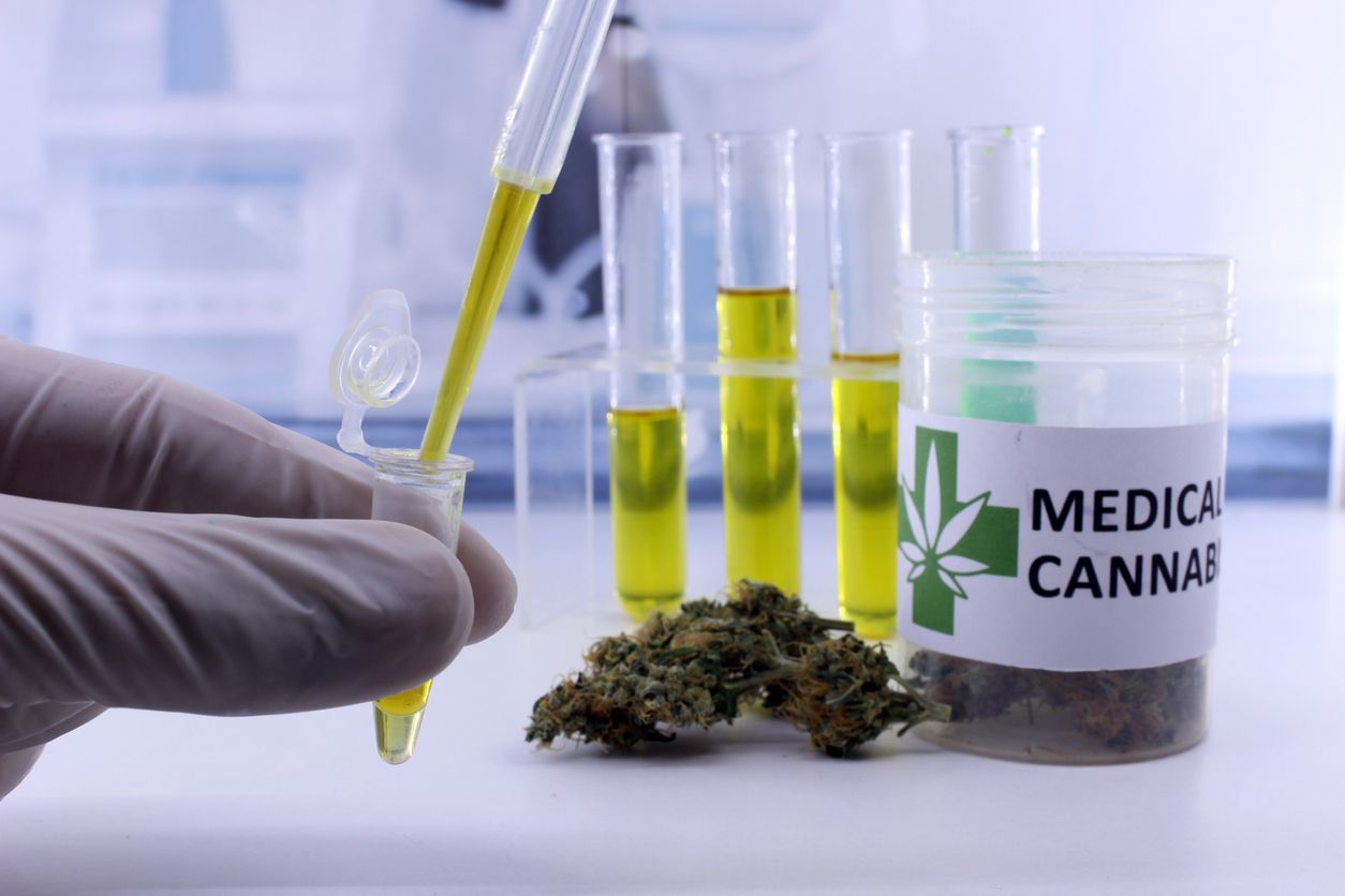 What agendas are there behind cannabis research