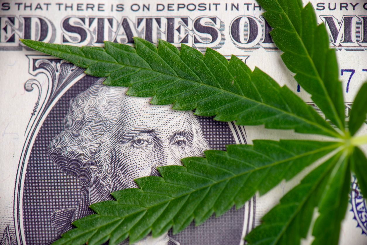 How the cannabis industry is worth millions