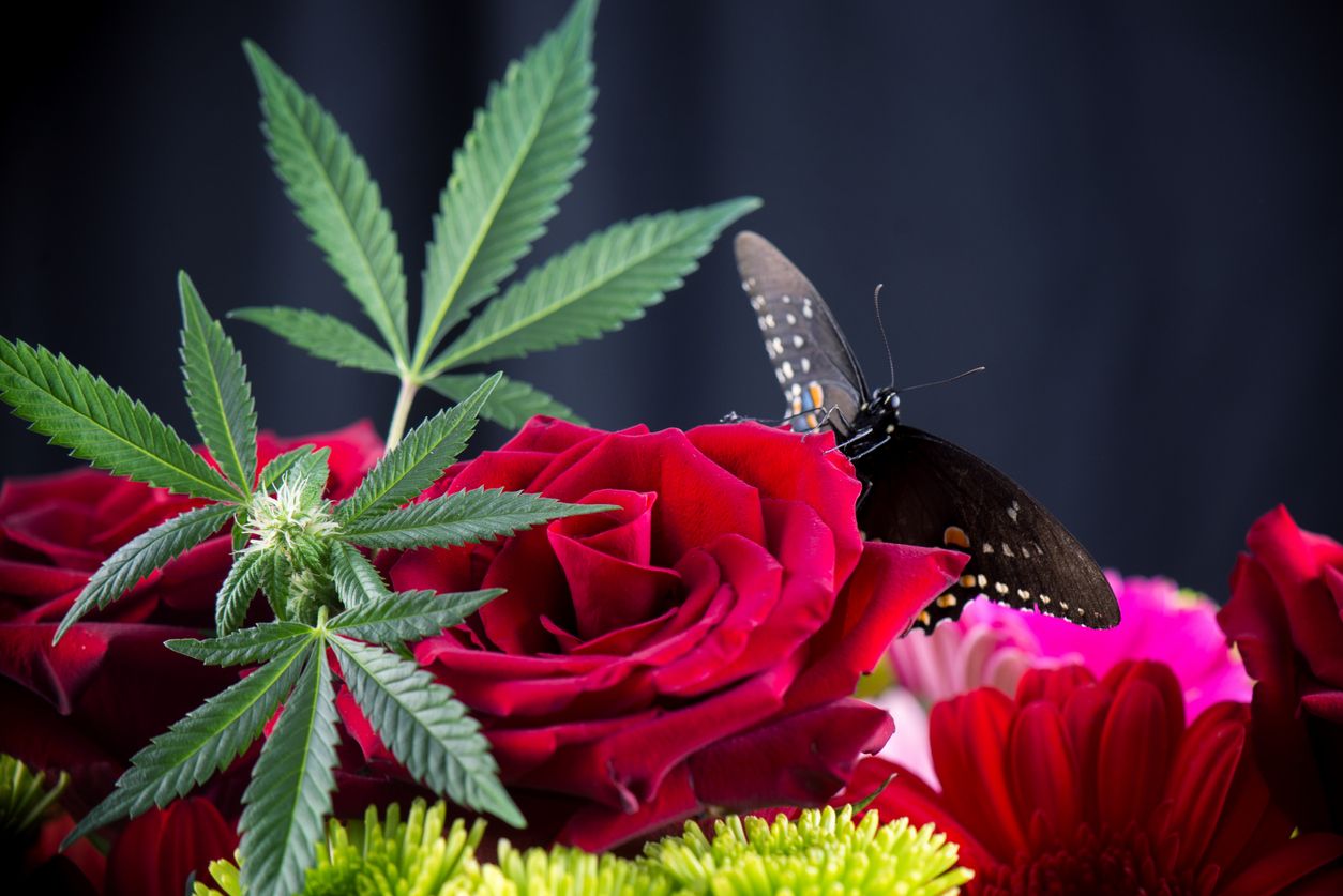 How to make a marijuana bouquet
