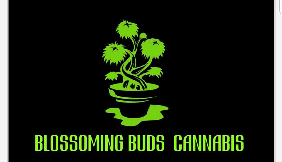 image feature Blossoming Buds Cannabis Inc.