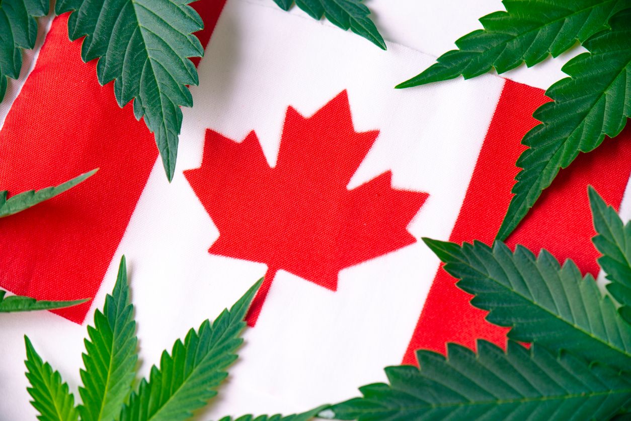10 Things that can still get cannabis lovers in trouble in Canada
