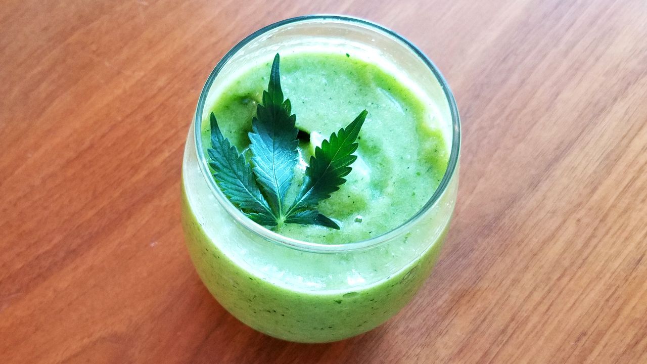 Raw cannabis juice recipe and benefits