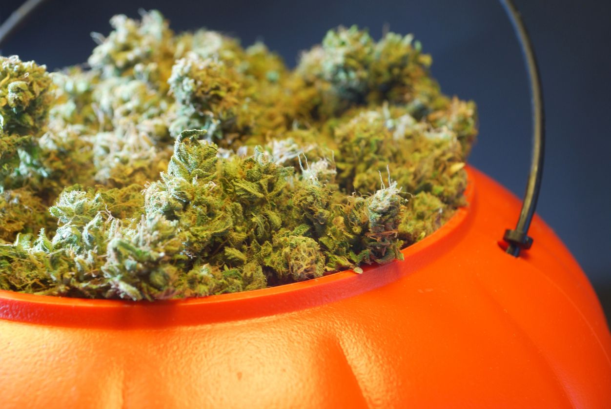 5 DIY cannabisthemed costumes just in time for Halloween