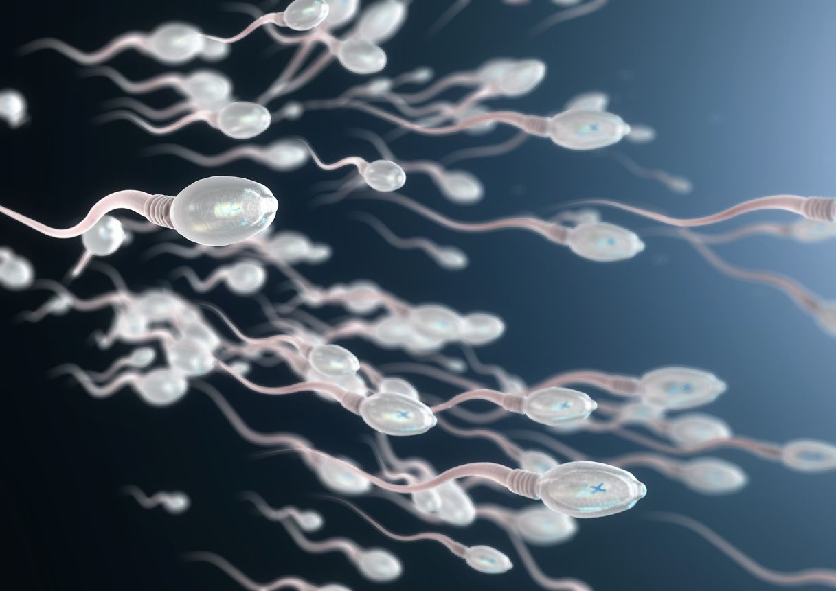According to new research weed might boost sperm count