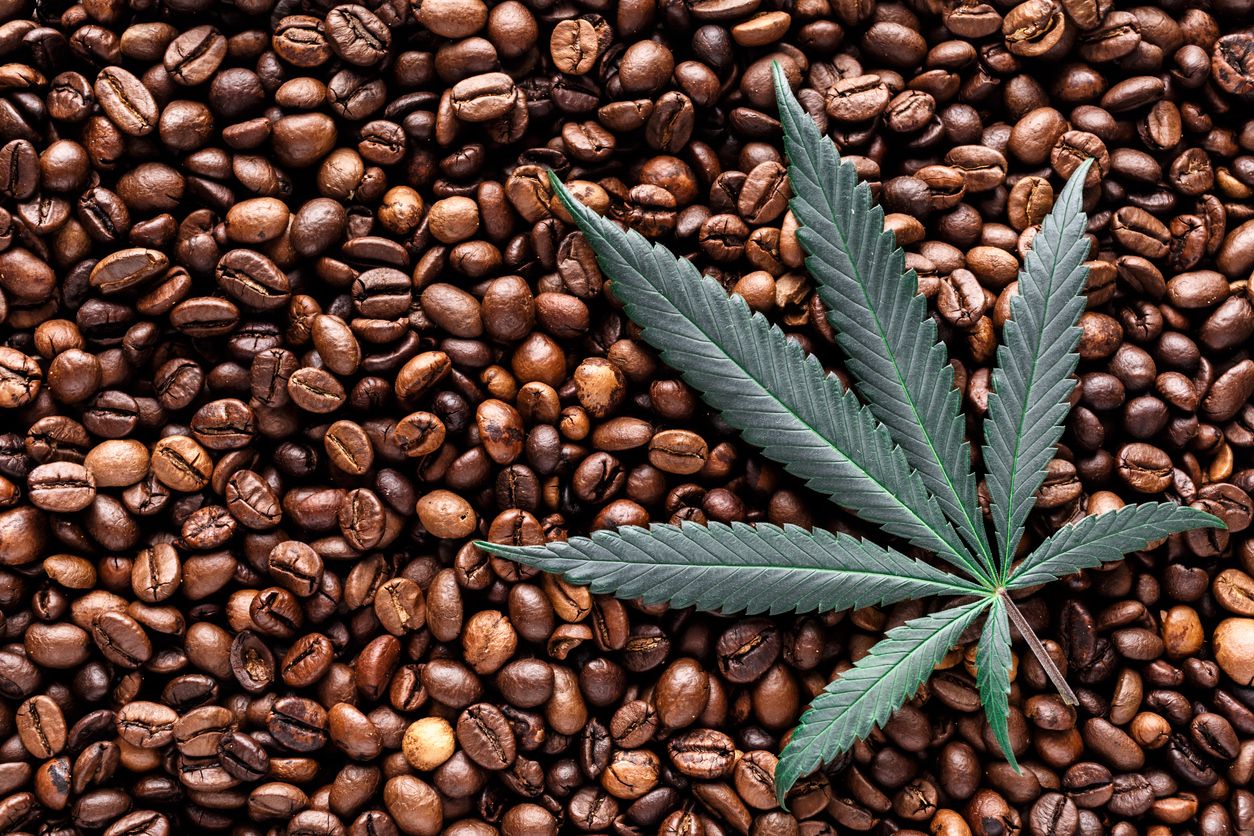 All about CBD coffee