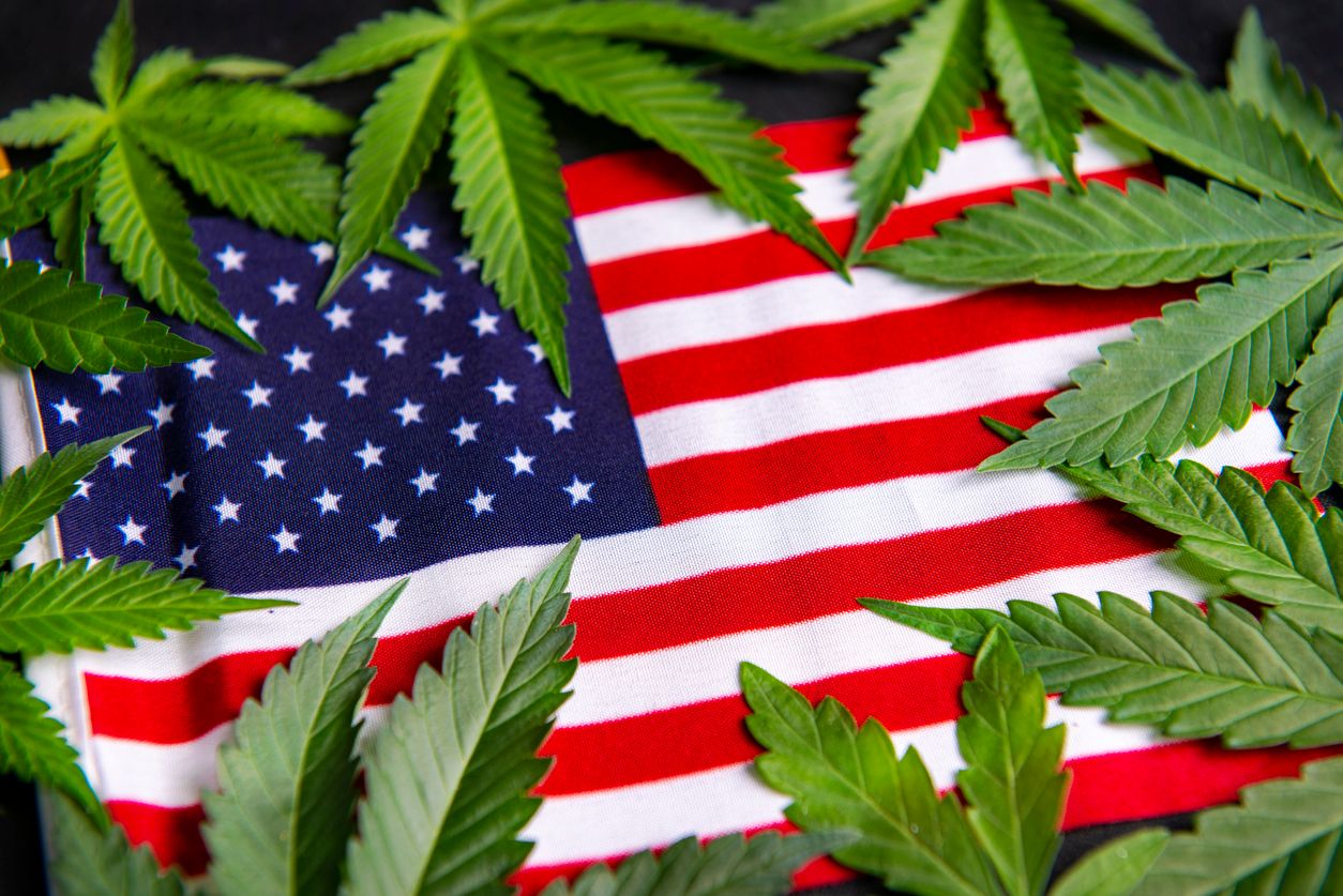 American consumers bought 67 more cannabis in 2020