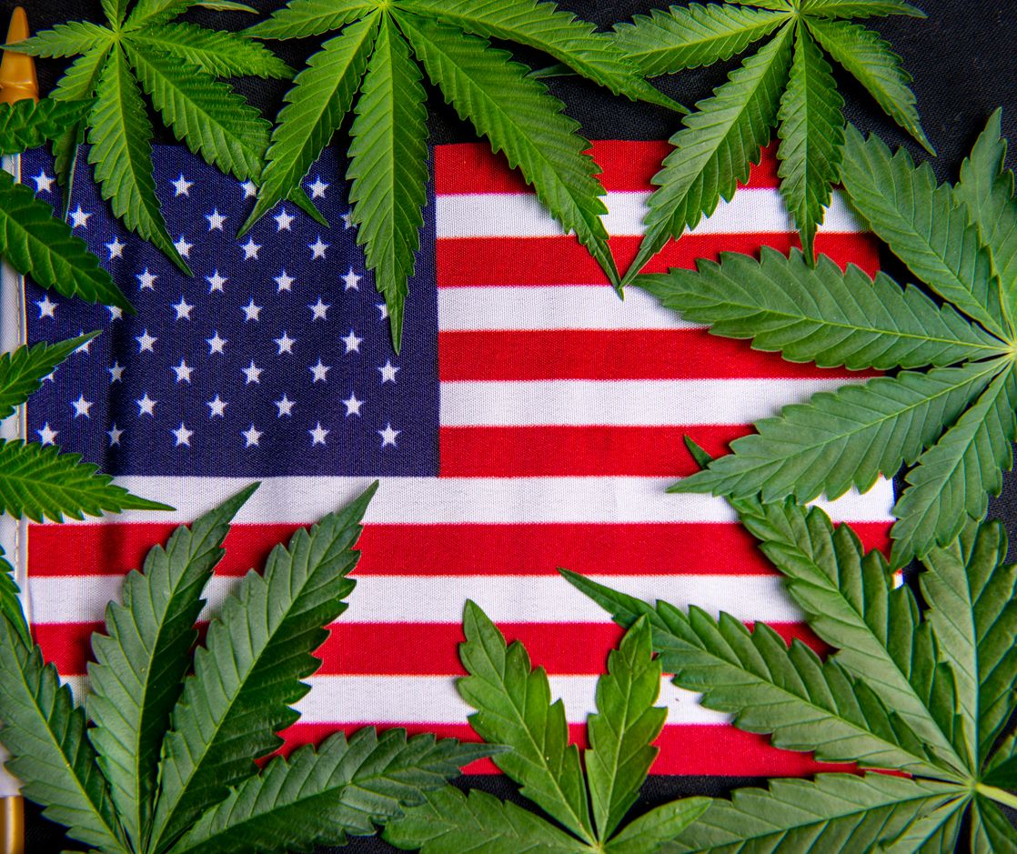 Americas cannabis sector is a bust 