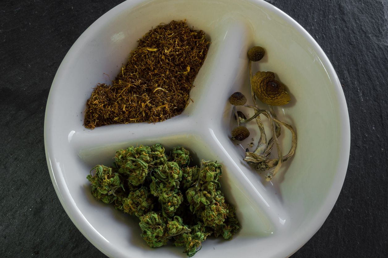 Cannabis versus magic mushrooms