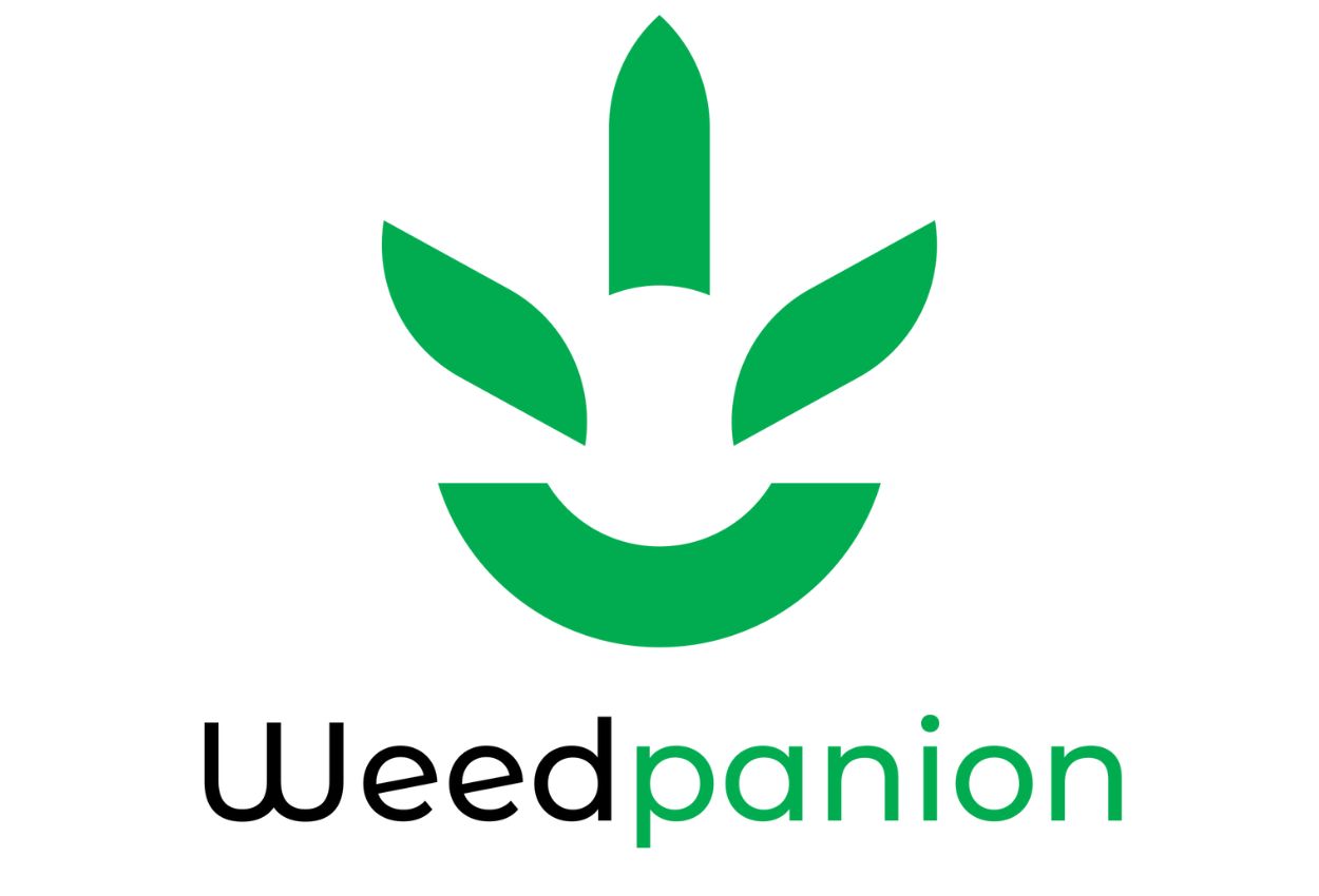 Cannabis Wiki Launches FirstOfItsKind Consumer  BrandFirst Technology Platform Weedpanion