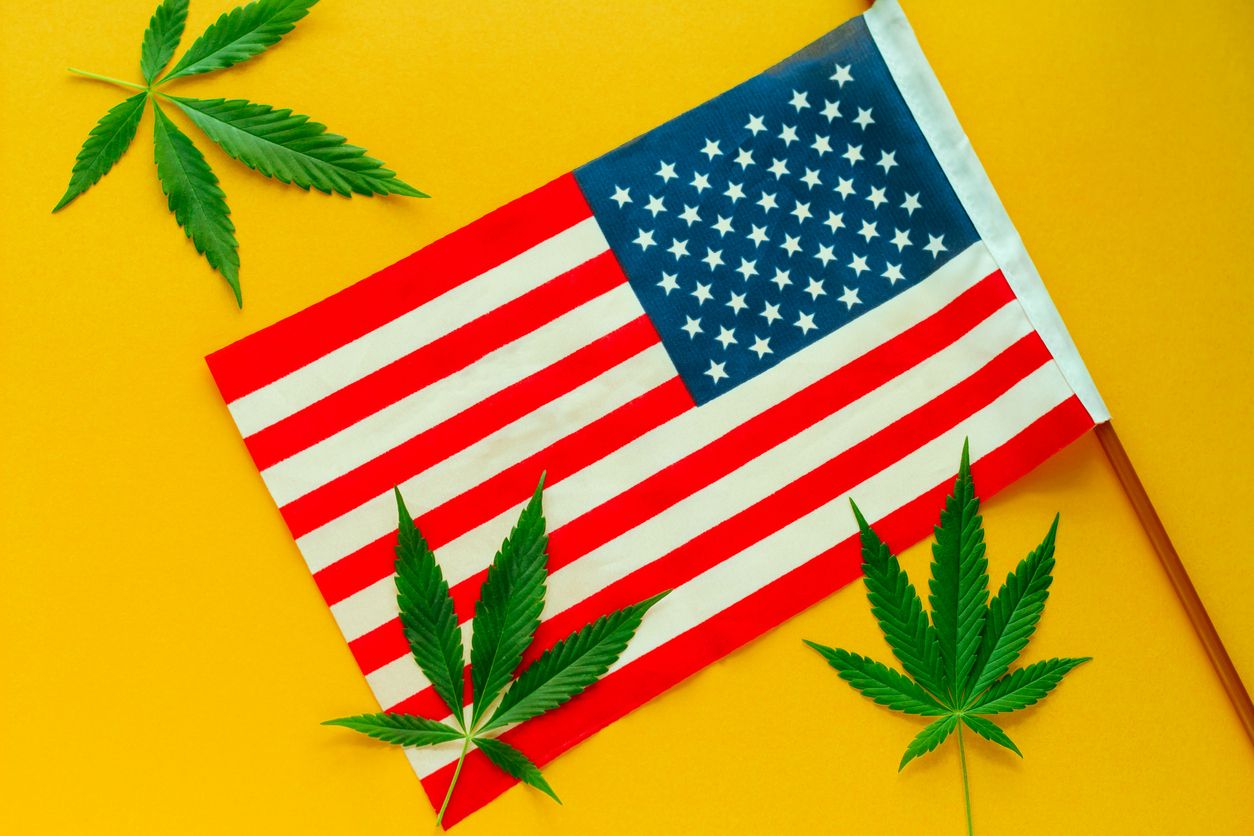 Canopy Growths CEO predicts the future of cannabis in the US