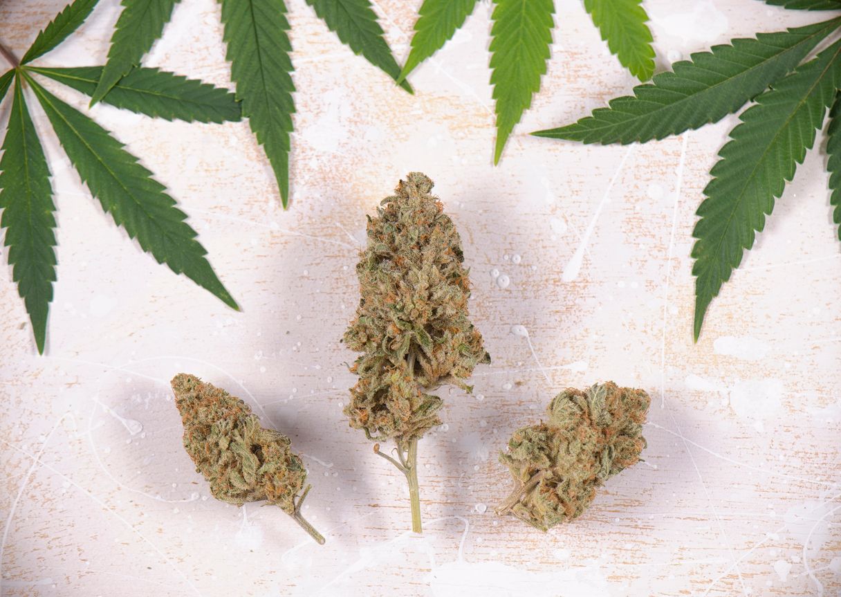 Choosing your next cannabis cultivar