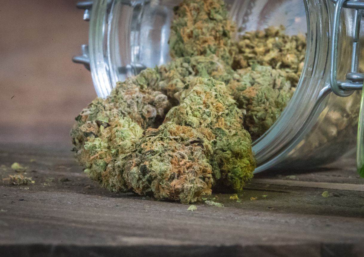 How to pick the best strains from your local dispensary