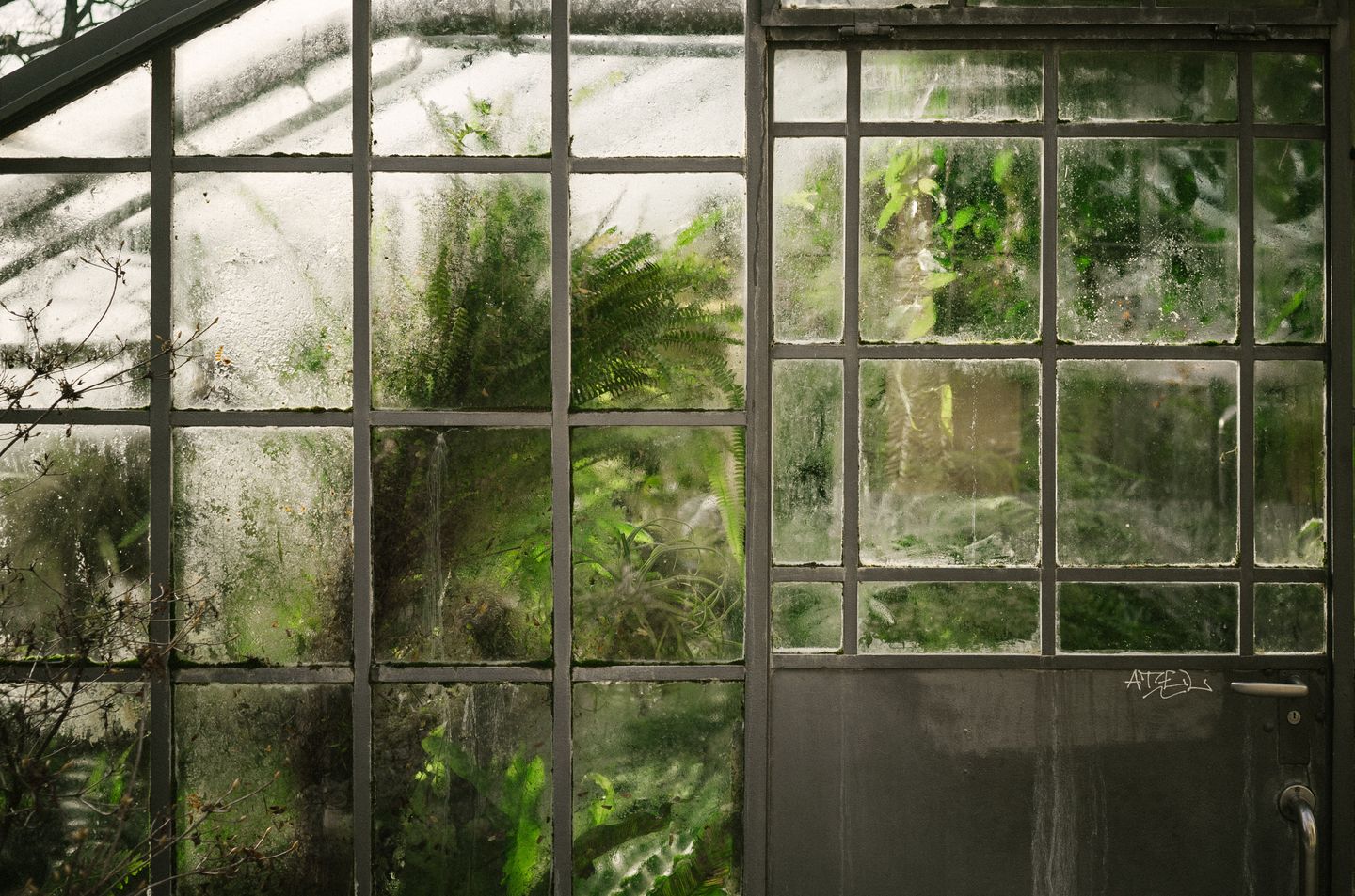 How to winterize your greenhouse 