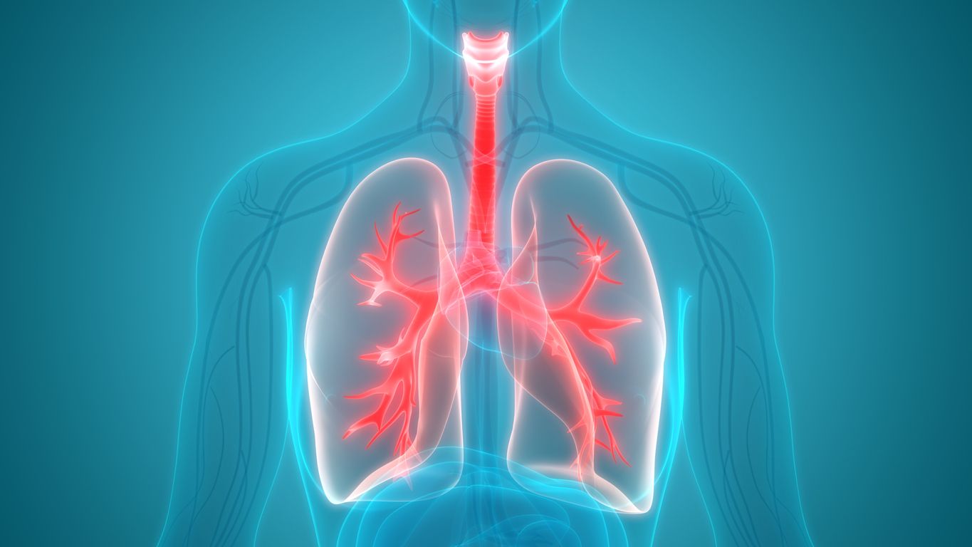 Is CBD good for lung health