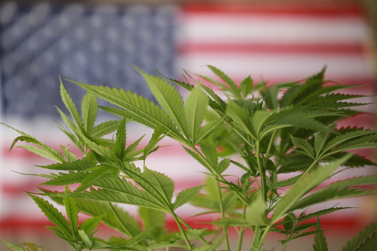 Is political support for US cannabis on the rise