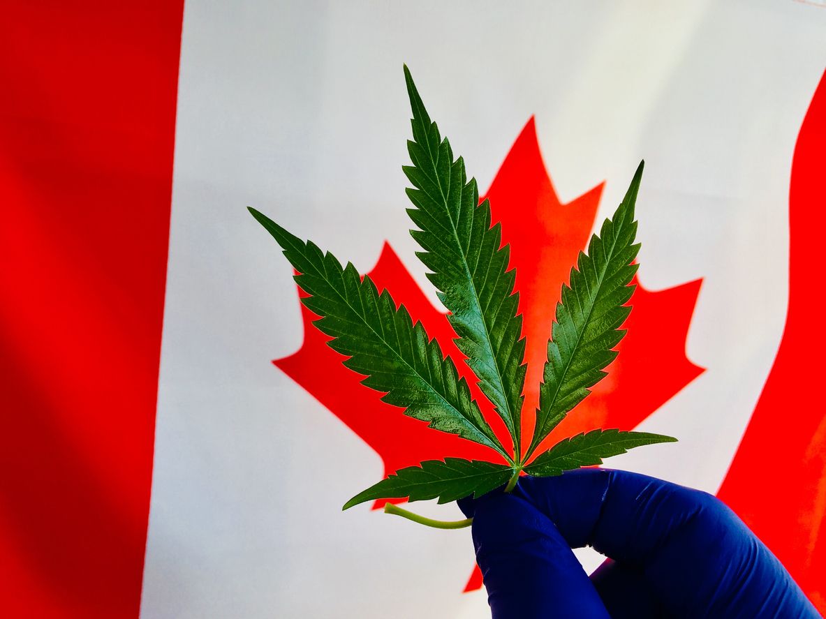 How Canadians are feeling about marijuana legalization 20