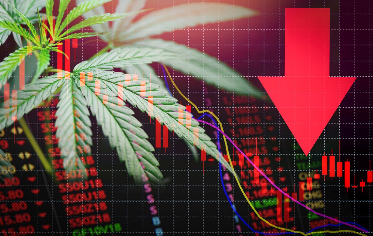 Cannabis stocks values have dropped but is there an end in sight