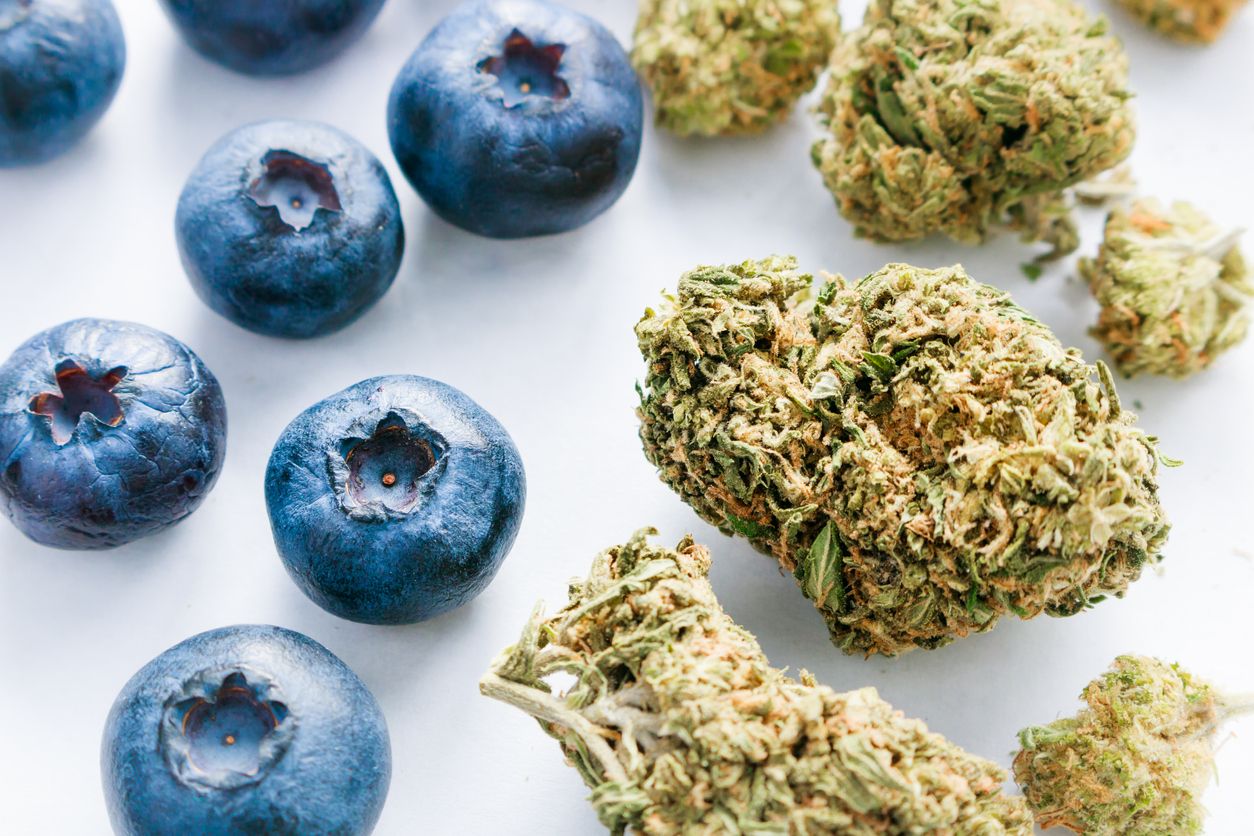 The best blueberry flavored strains of 2019