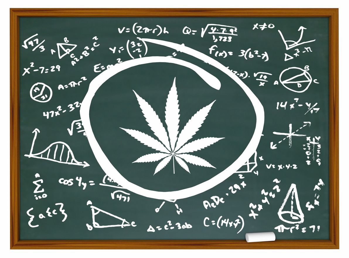 Why cannabis education should get to the public