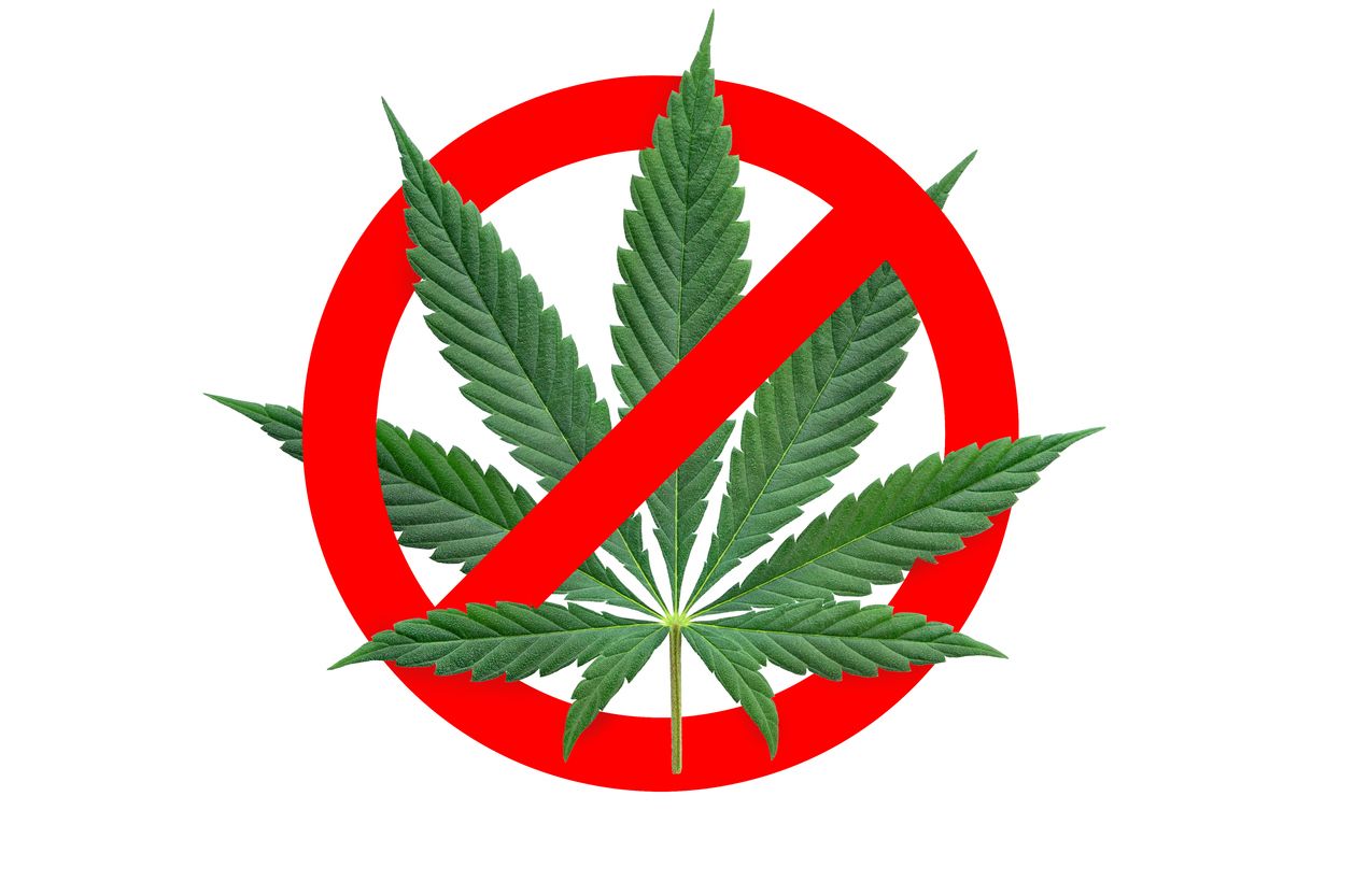 A cannabis plant inside the universal symbol for: NO