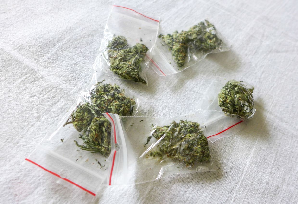 Why you should try the cannabis variety packs from your weed dispensary