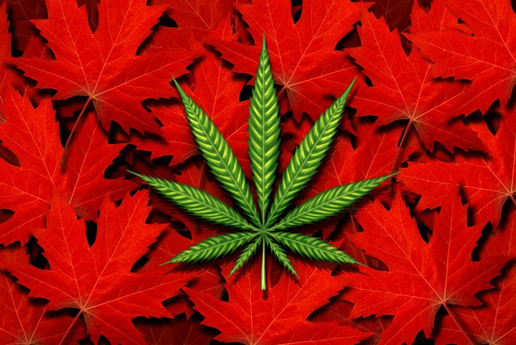 Legalization 20 may not be enough to boost the Canadian pot industry