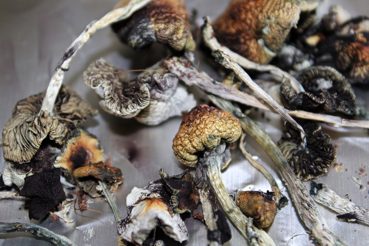 Medical psilocybin requests are being denied in Canada