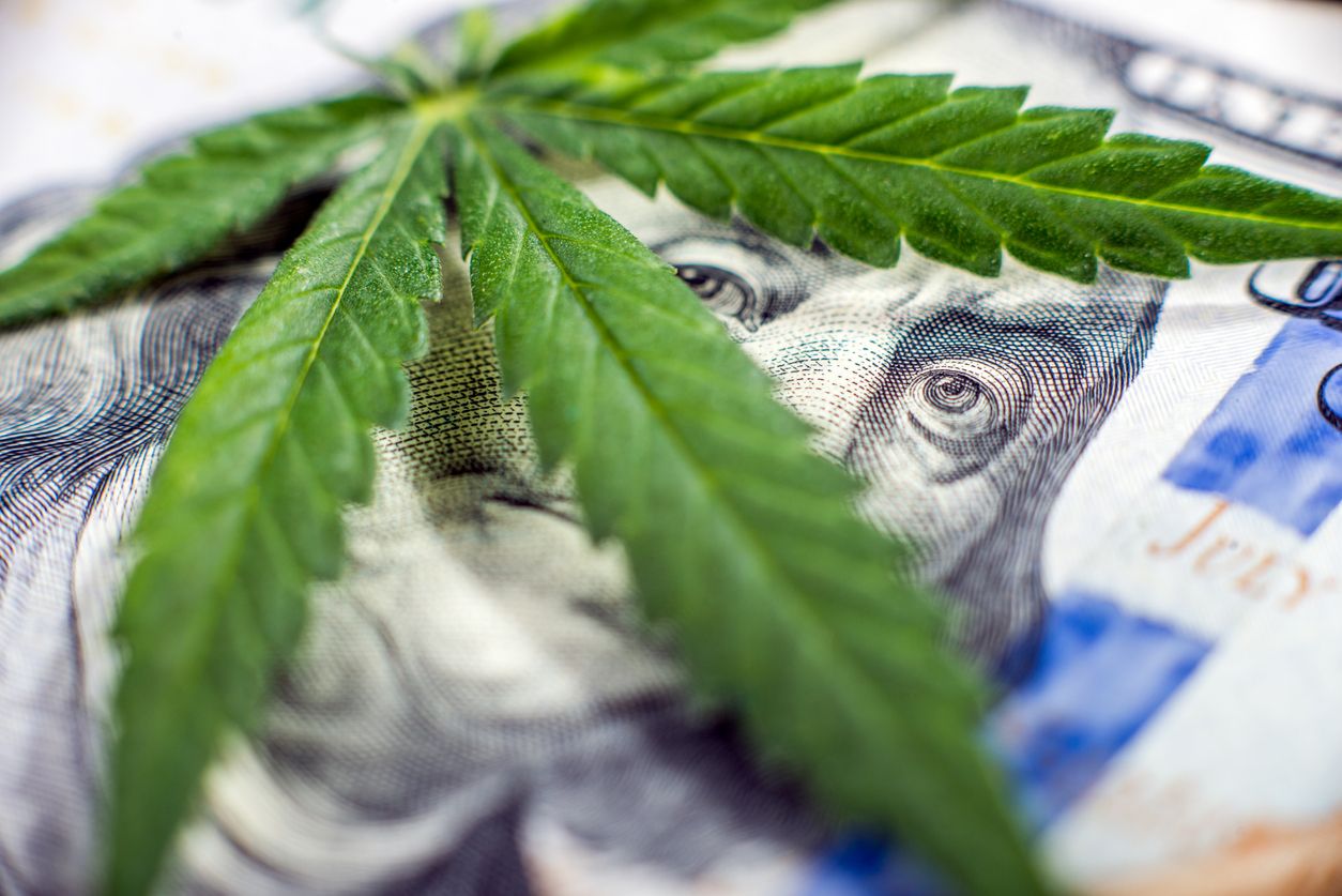 New Mexico makes bank with cannabis sales
