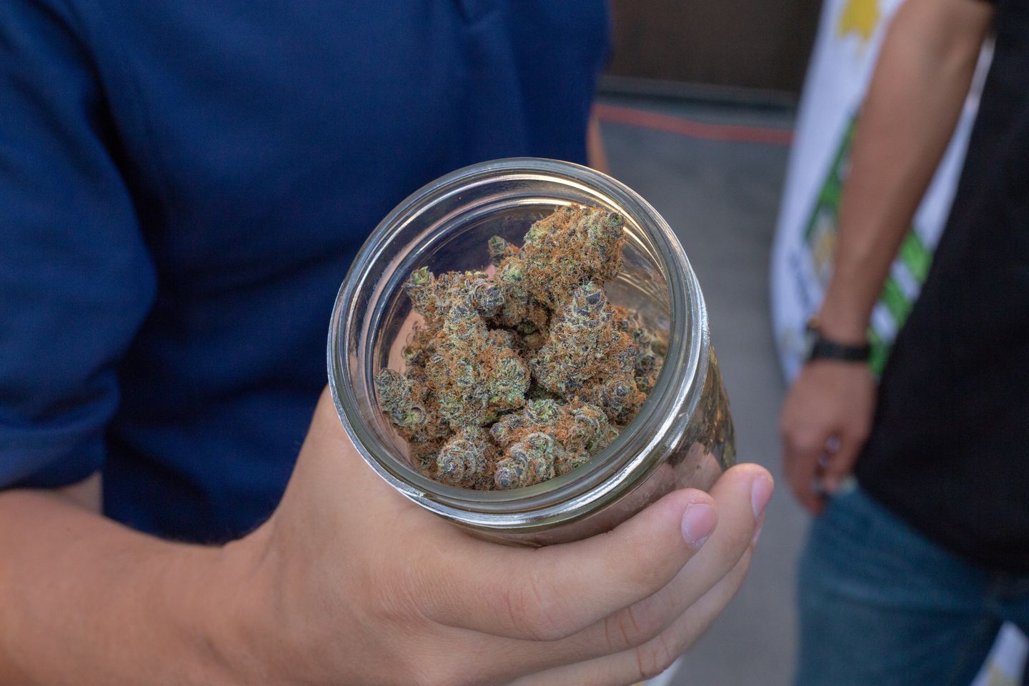 The best jars and bags for curing weed in 2023