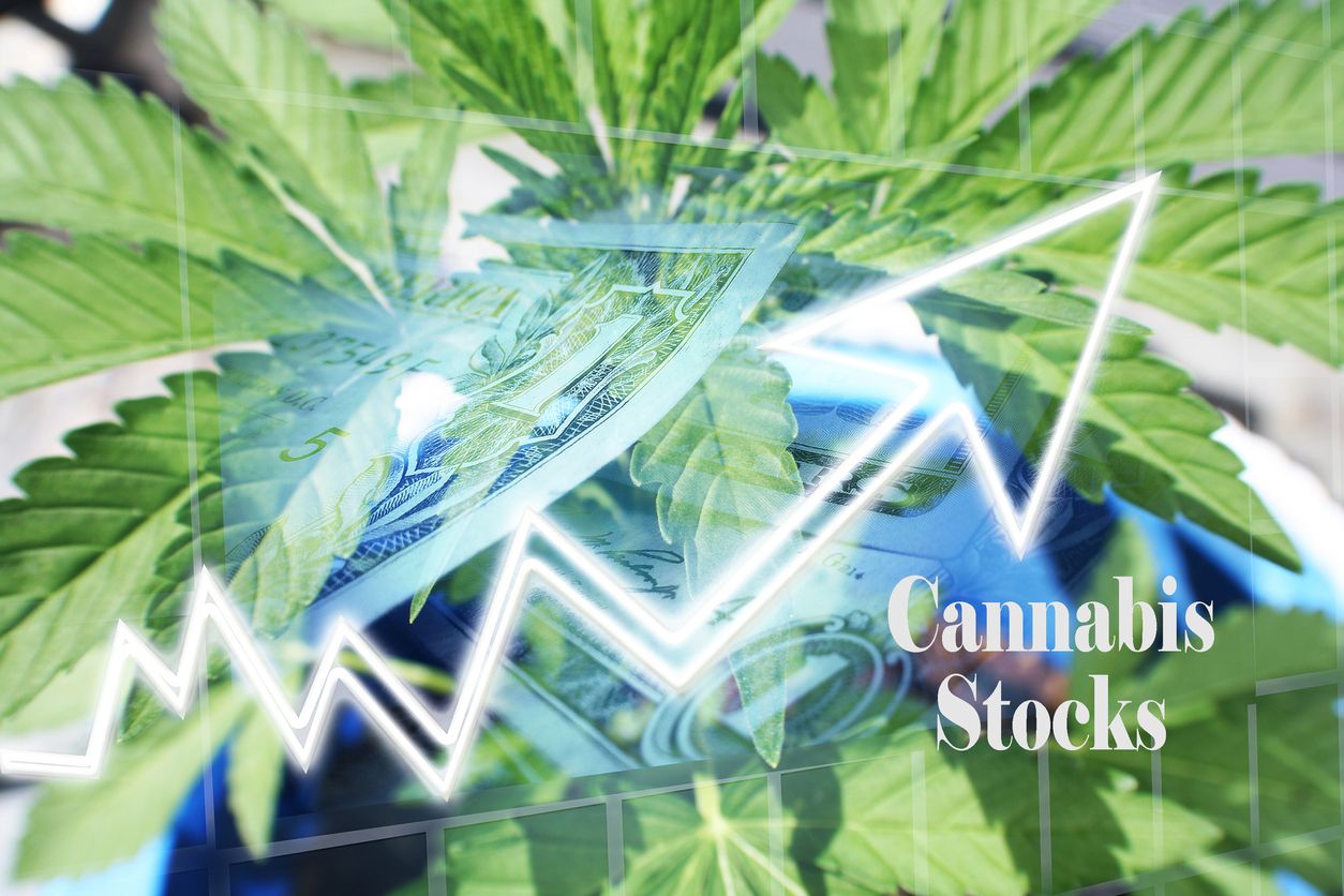 The bestrated pot stocks of 2020