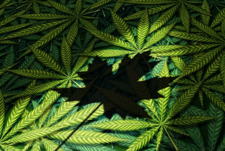 The Canadian government is blocking all cannabis imports