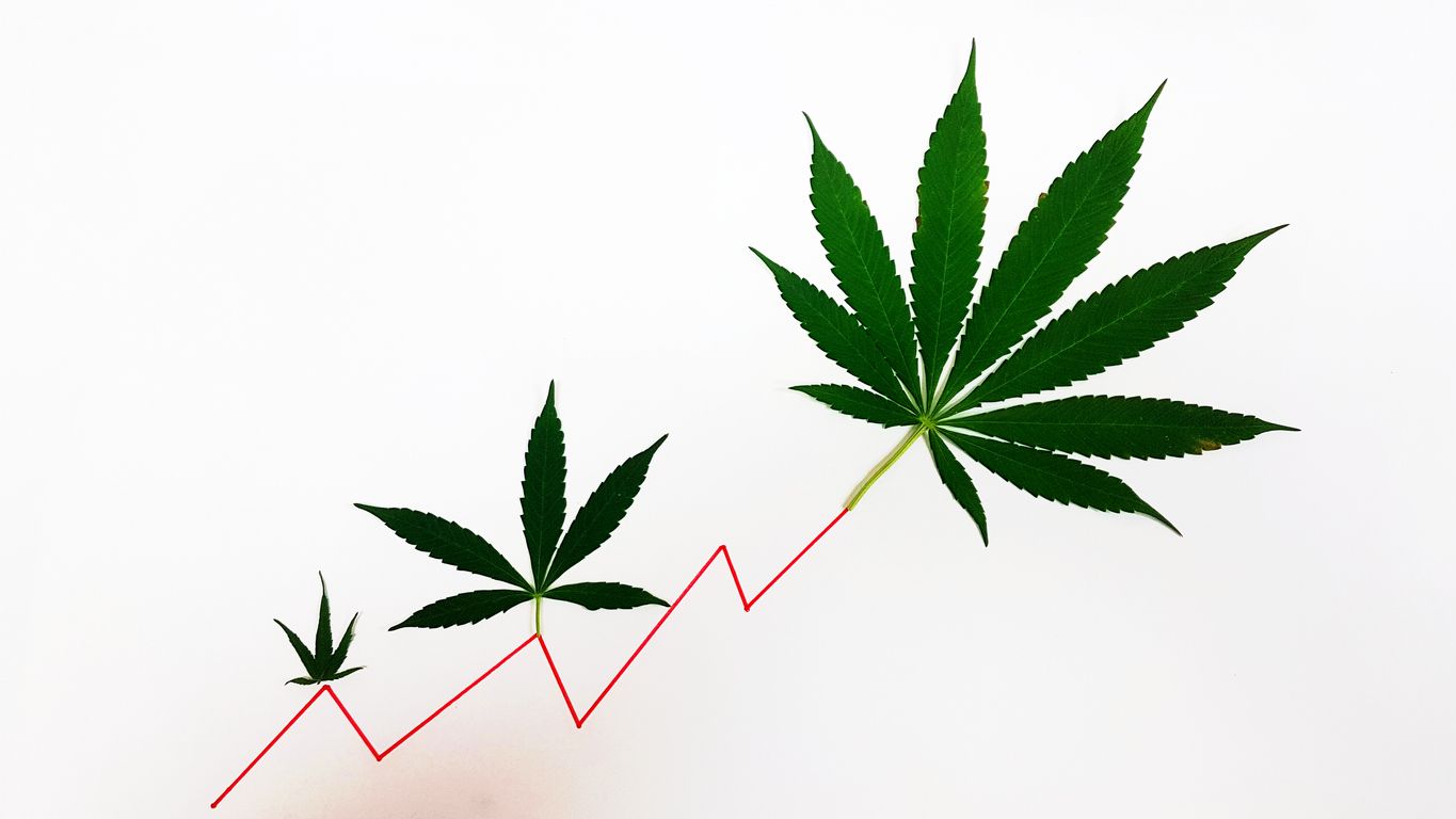 The cannabis stocks that made bank in 2019