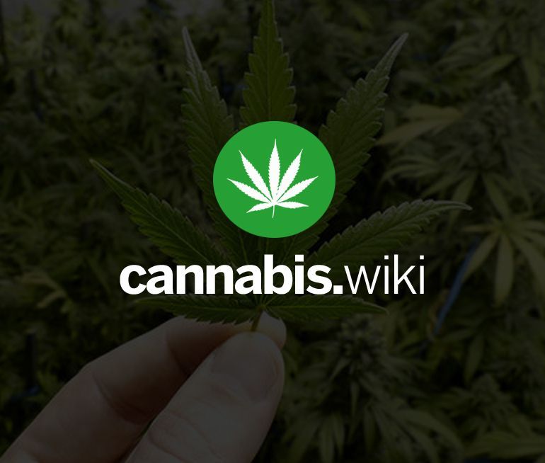 The CannabisWiki Expo will be a gamechanger for London Ontario