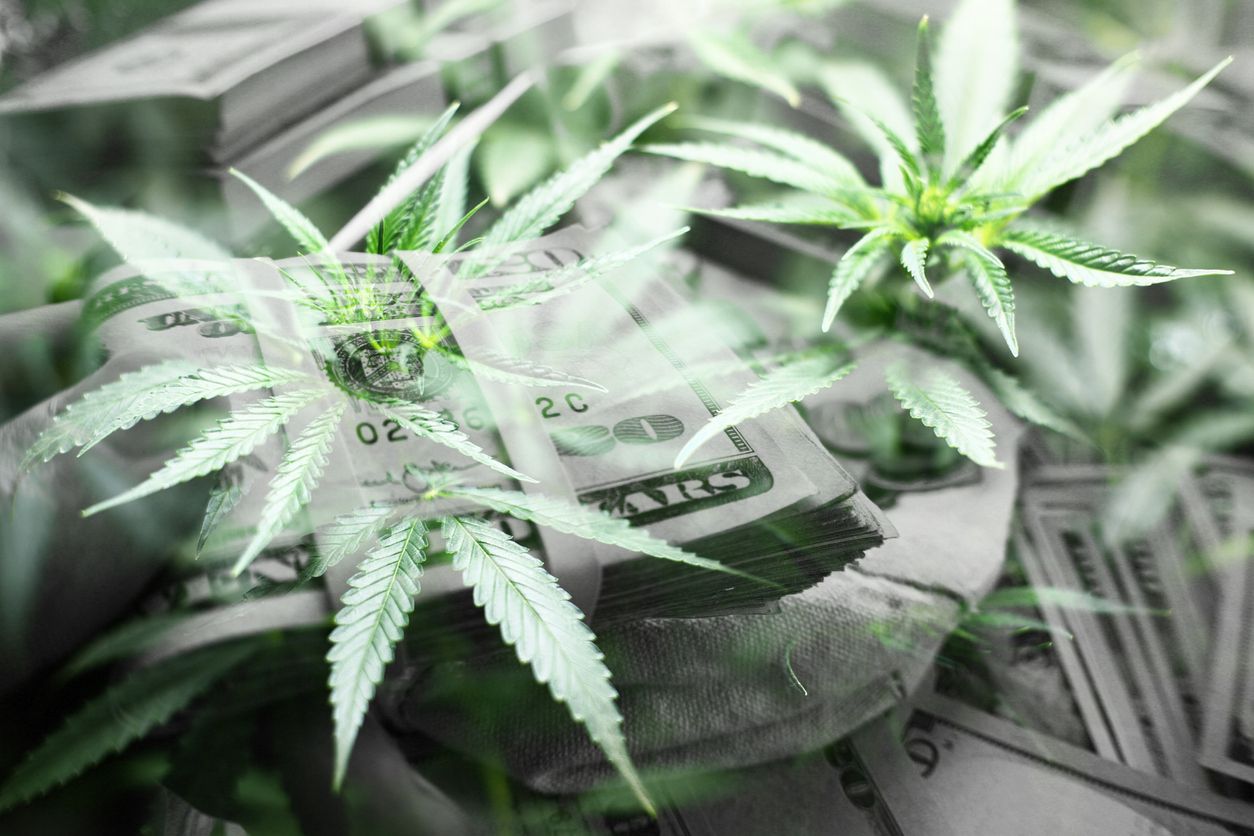 The most ignored pot stocks on the market