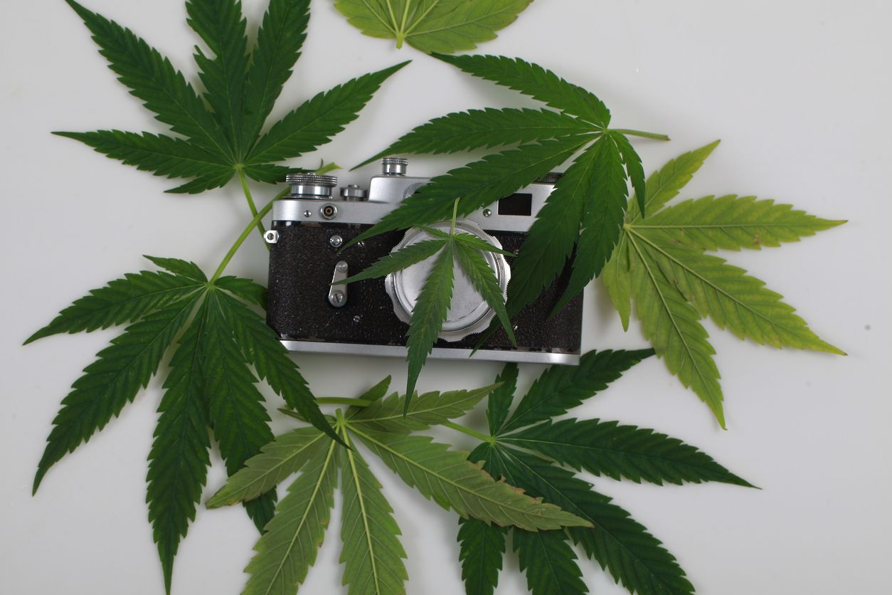 Top 5 cannabis photographers of 2020
