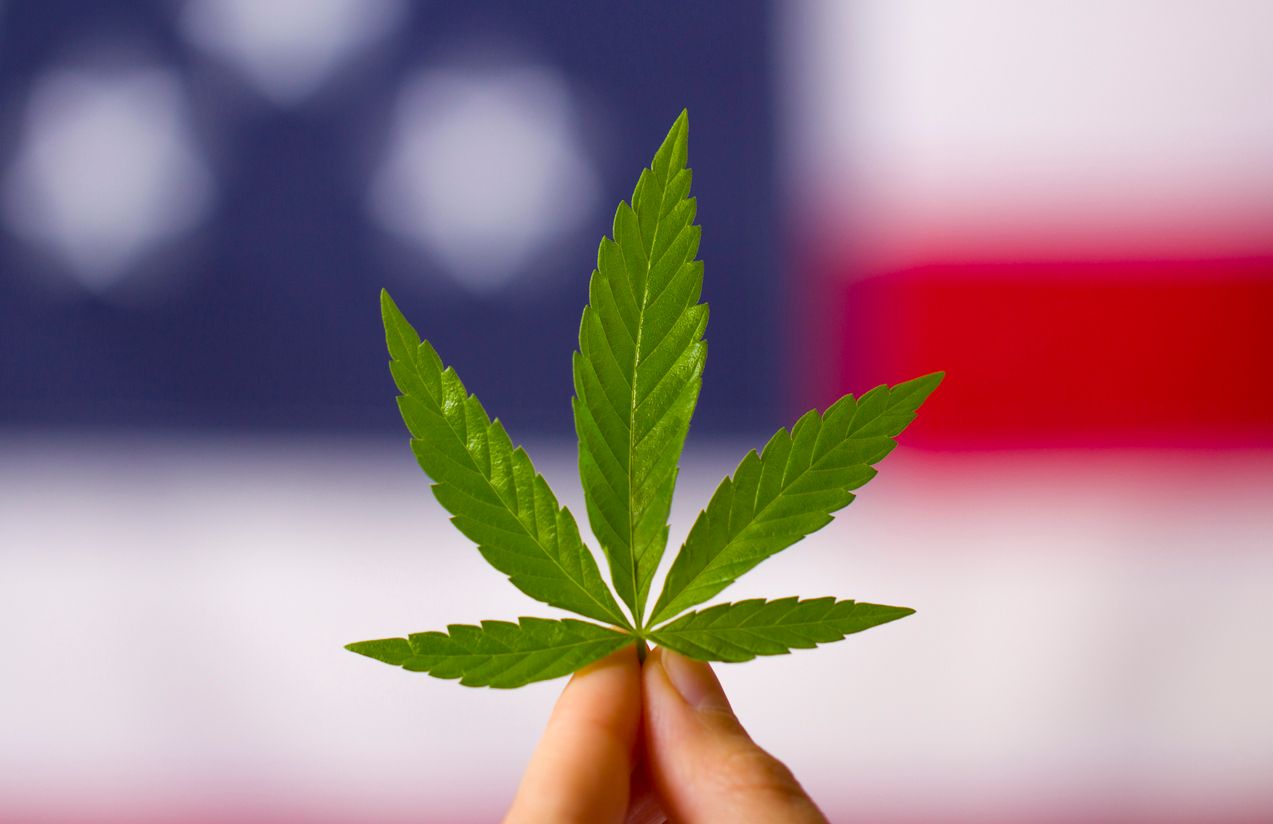 US cannabis events set to return in 2021