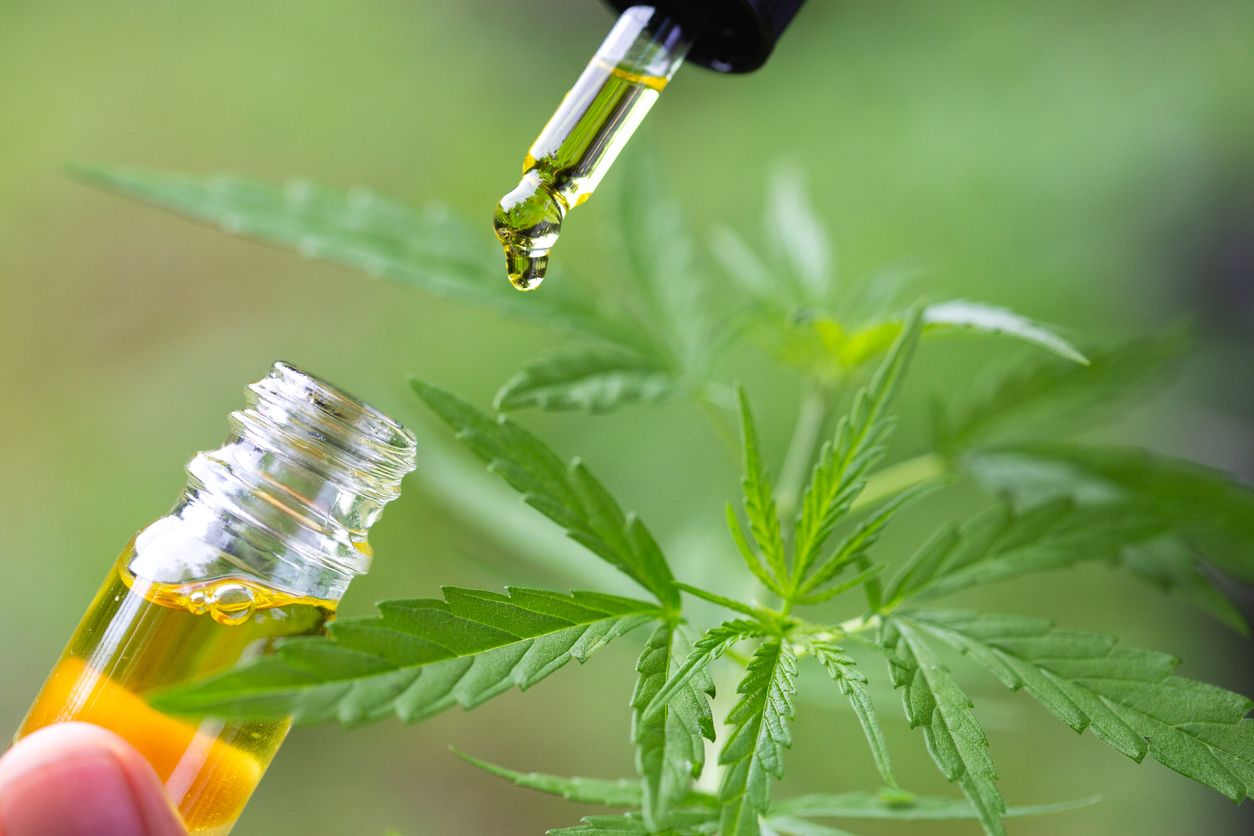 What makes hemp oil CBD oil and THC oil different