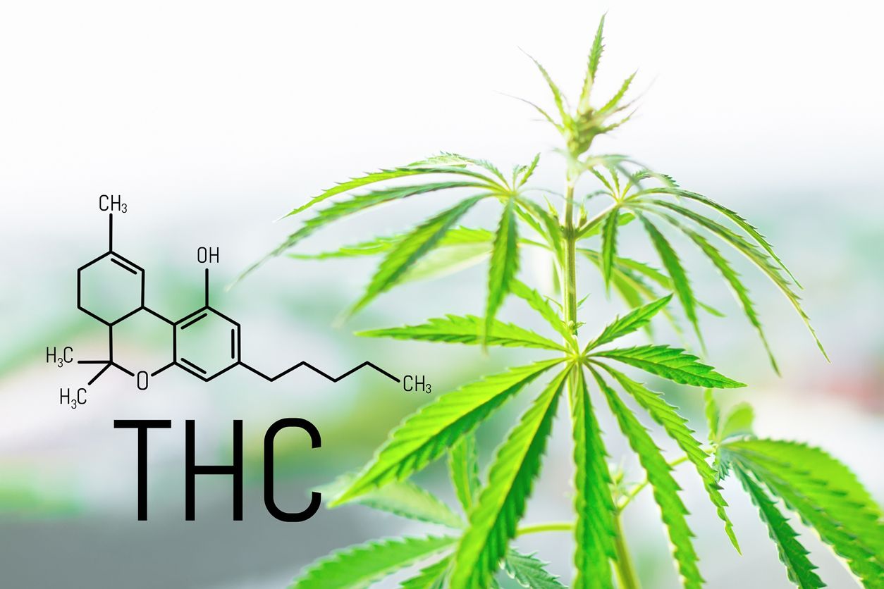Who should avoid THC products 