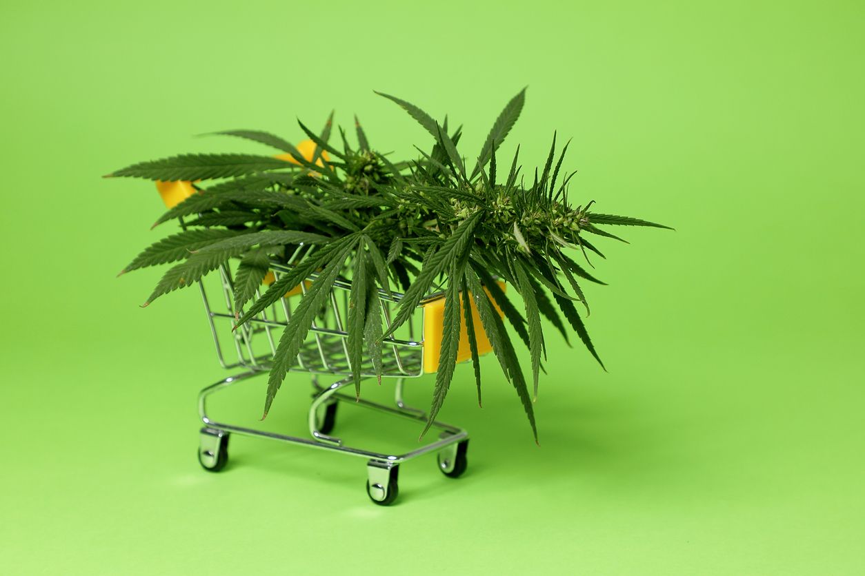 Why cannabis gets cheaper while groceries get more expensive 