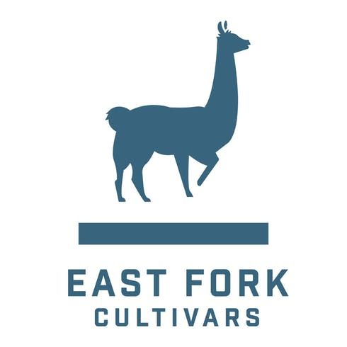 feature image  Nice Tsunami by East Fork Cultivars