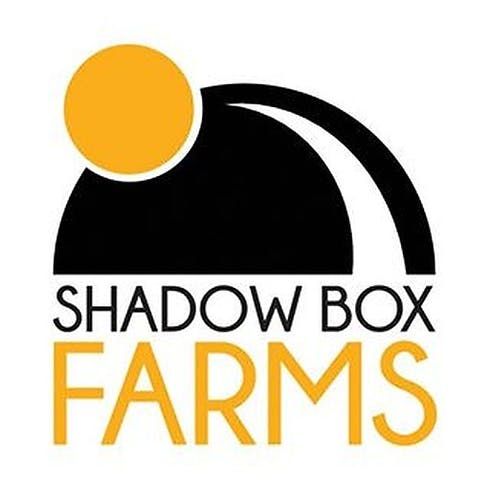 feature image 2pack Vegan Capsules | AC/DC | Shadowbox Farms