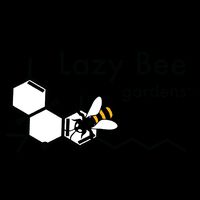 feature image 1:1 CBD : THC Blend Rso by Lazy Bee Gardens