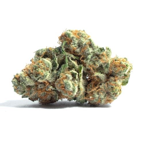 feature image  Blue City Diesel x Trophy Wife by Phat Panda