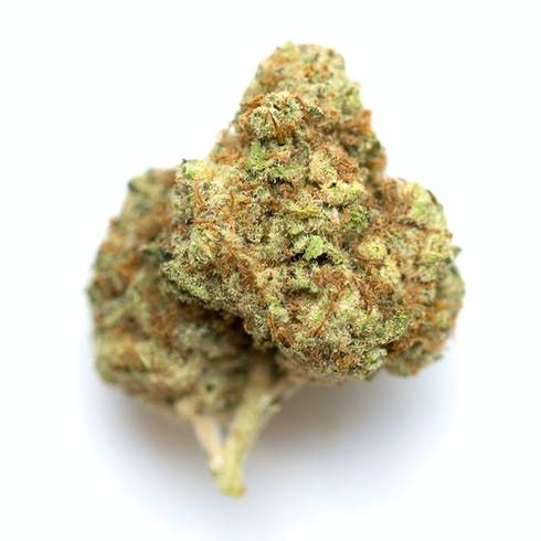 feature image Allen Wrench (Growing Up) 18.21%