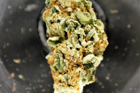 feature image AK-47 Flower by High Noon Cannabis